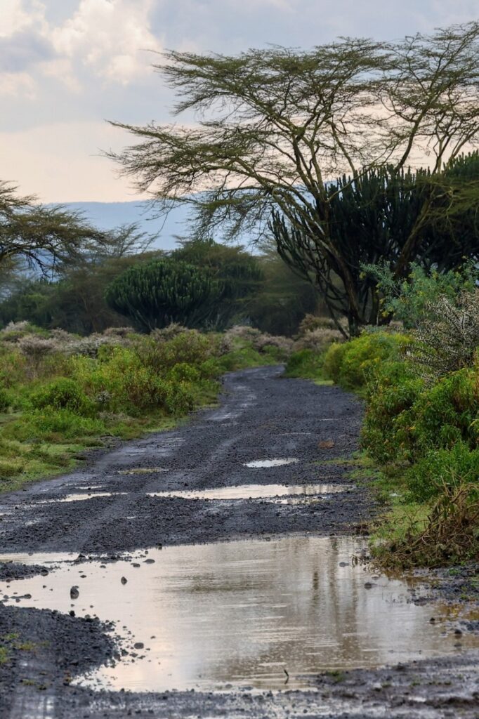 The Safari Rally Kenya Reimagined