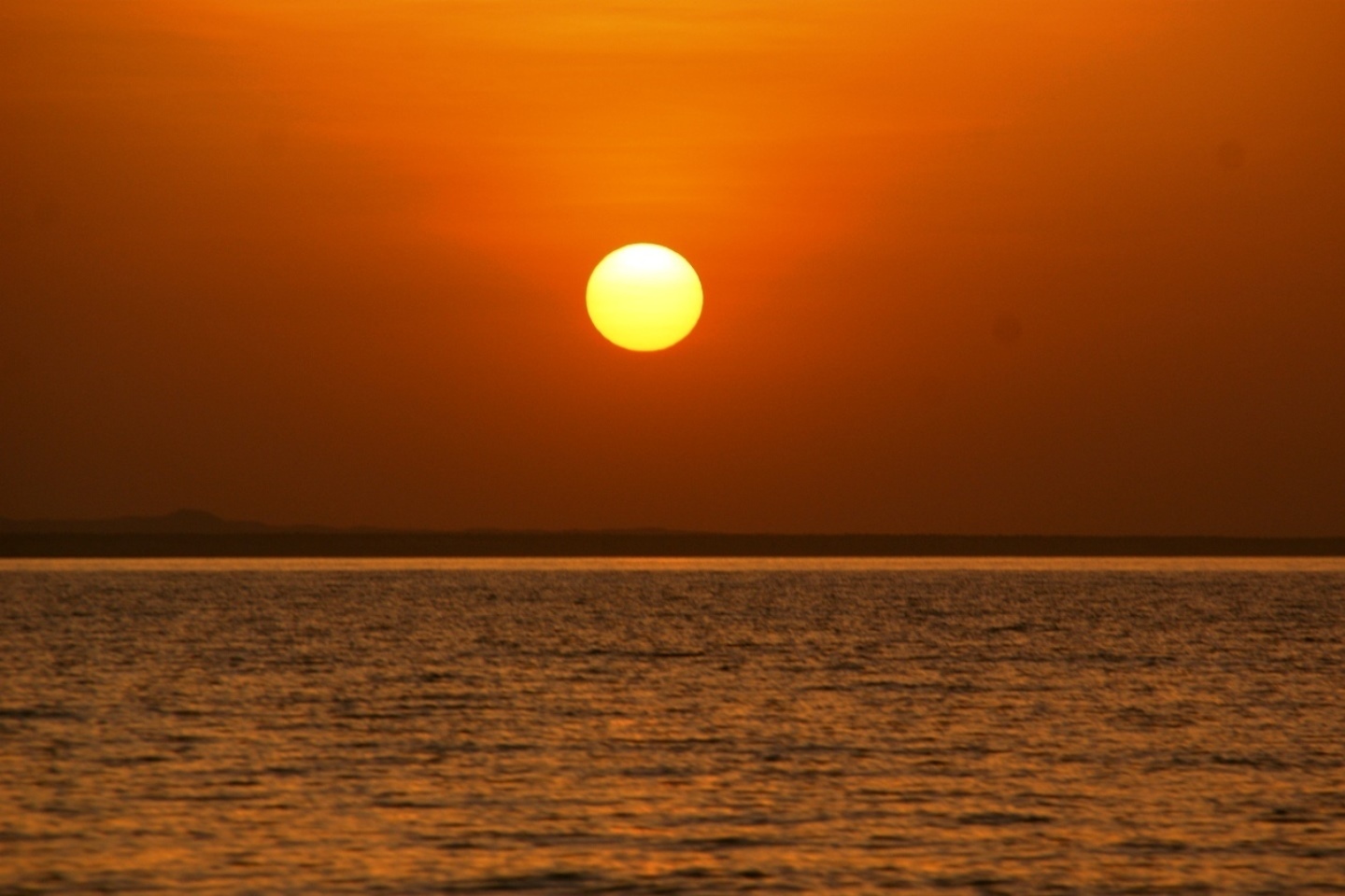Kisumu Day Trips and Safaris