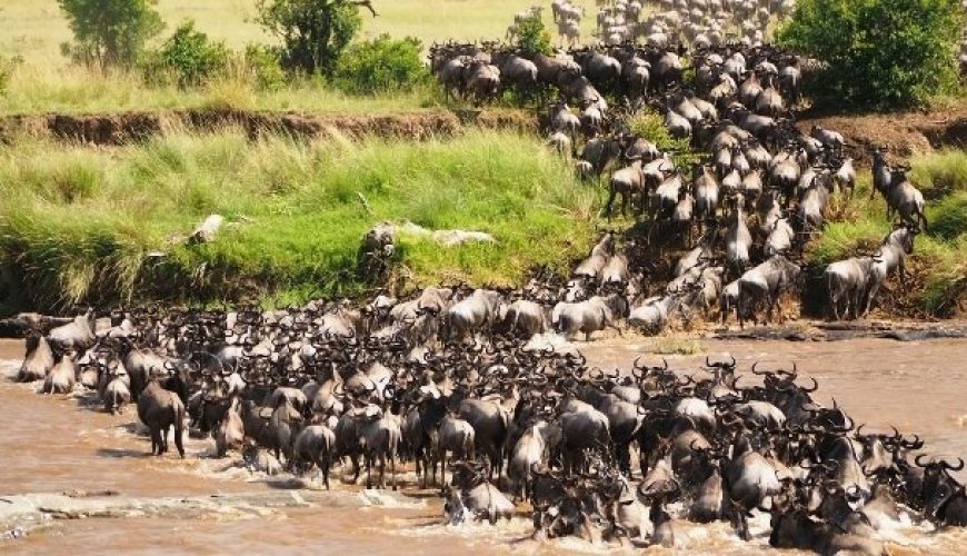 Facts About the Great Migration