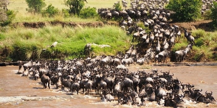 Facts About the Great Migration