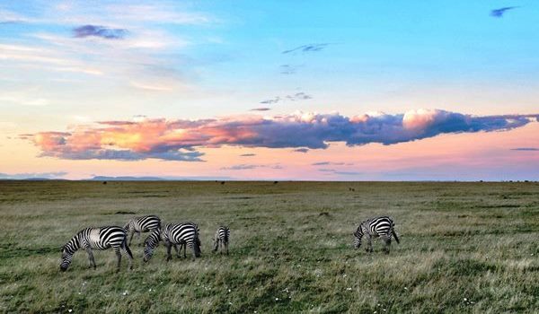 Maasai Mara Wildlife Conservancies