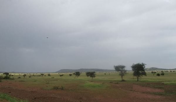 migration-grumeti-game-reserve