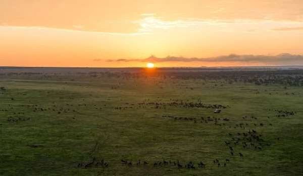 migration-plains-ndutu-plains