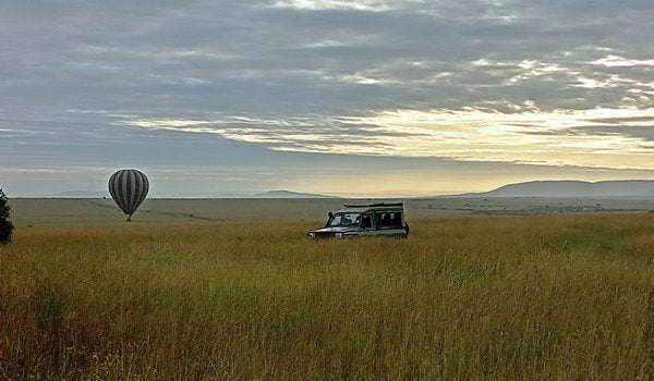 The Maasai Mara Safari