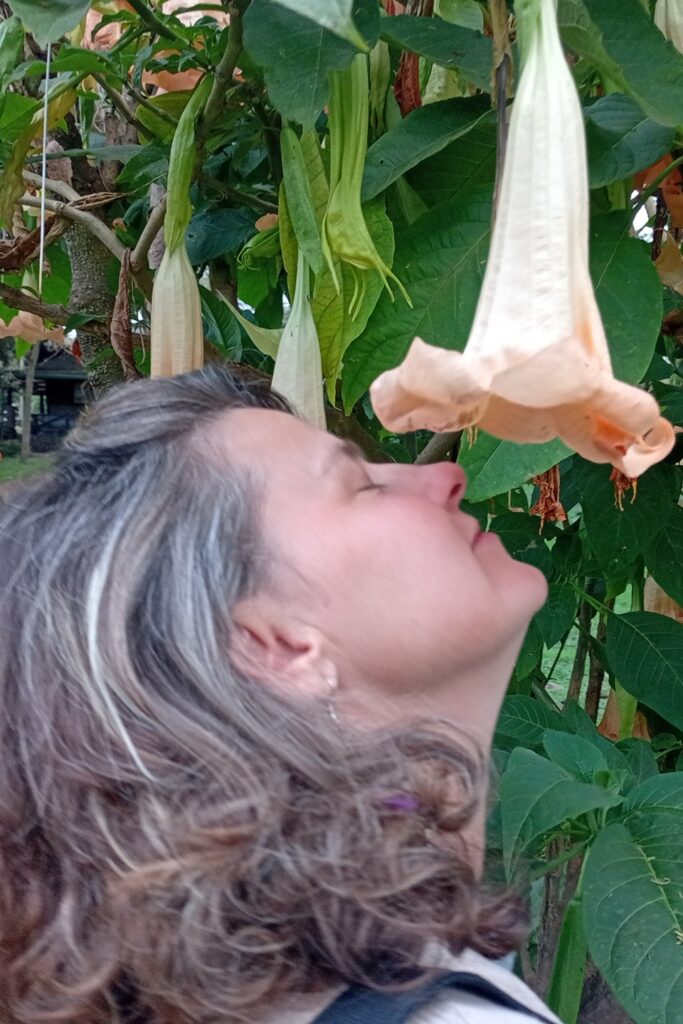 top 35 reasons for a safari to kenya pic 1