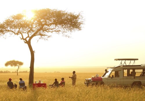 Kenya Luxury Safaris and Tours