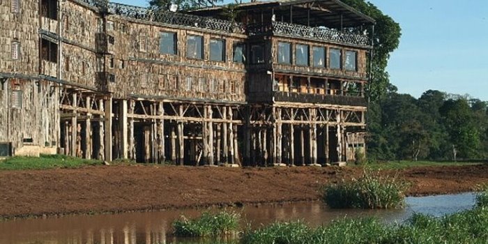 Treetops Hotel Roars Back to Life