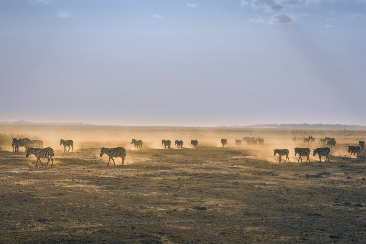 tailormade kenya luxury family safaris photo 3