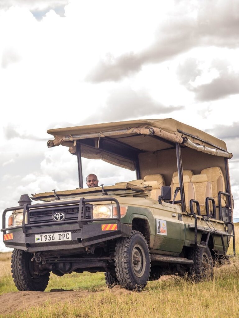 Facts About the Great Wildebeest Migration