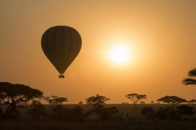 Luxury African Safari