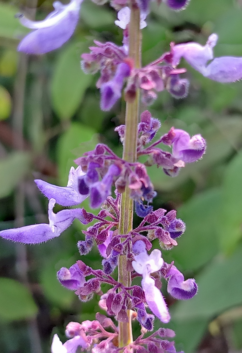 philanthropic travel pic 2