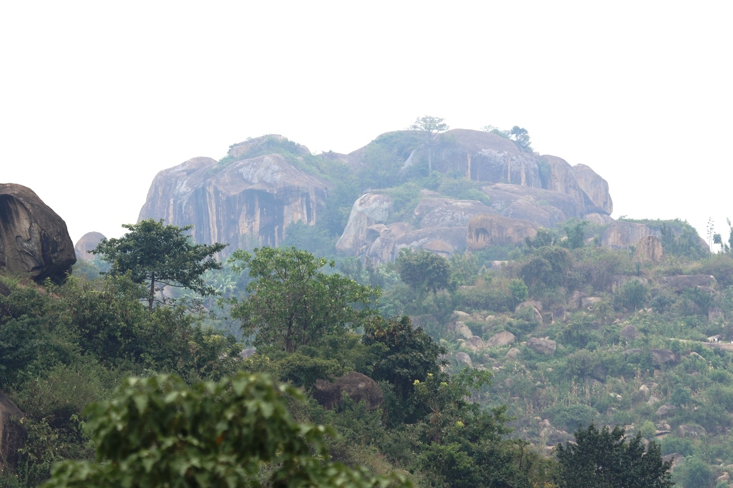 Philanthropic Travel