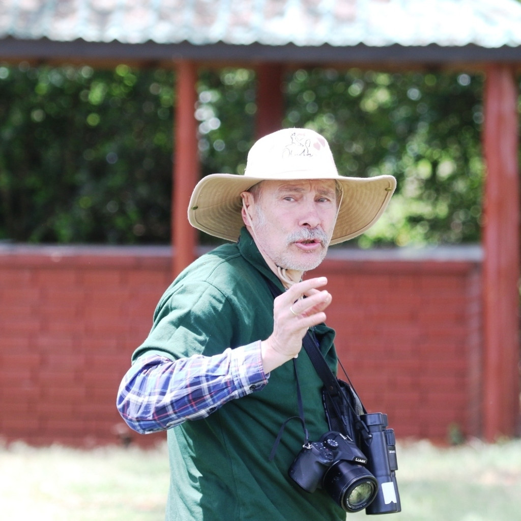 Top Nairobi Bird Watching Hotspots