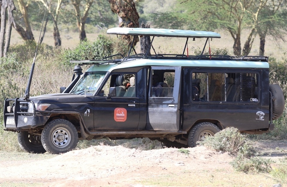 Luxury Africa Safaris