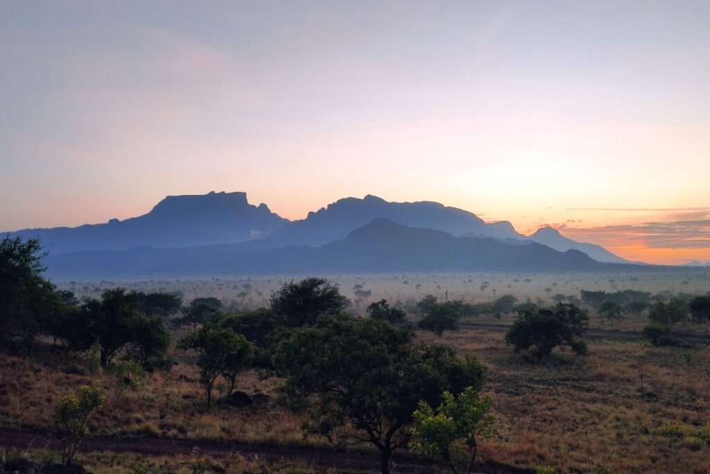 How To Book A Luxury Africa Safari