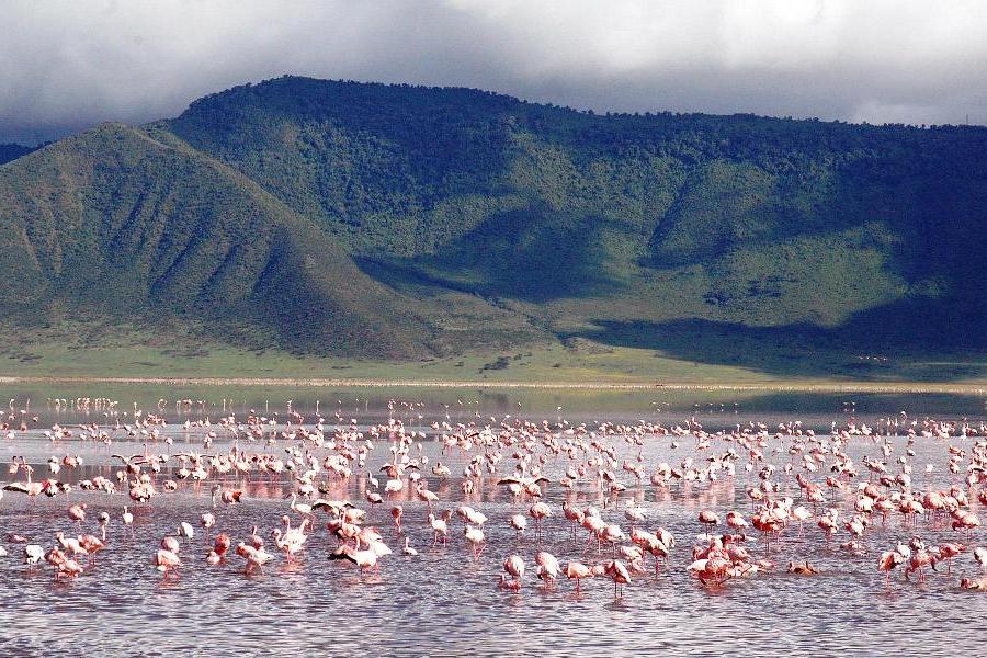 Top Tanzania Luxury Safaris