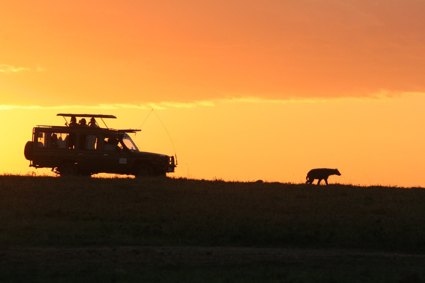 Top African Luxury Safaris