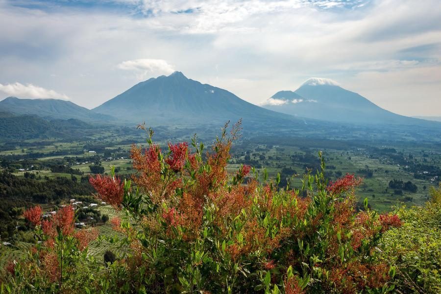 africa-custom-luxury-destination-rwanda-pic-6